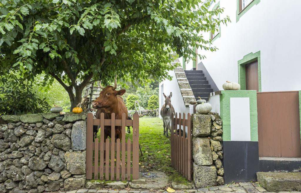 Quinta Do Martelo Otel Angra do Heroísmo Dış mekan fotoğraf